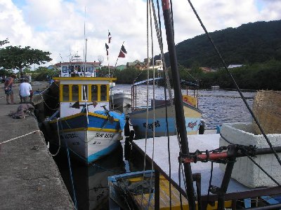 P1090034.JPG