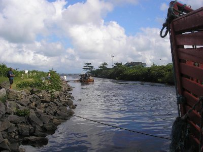 P1090036.JPG