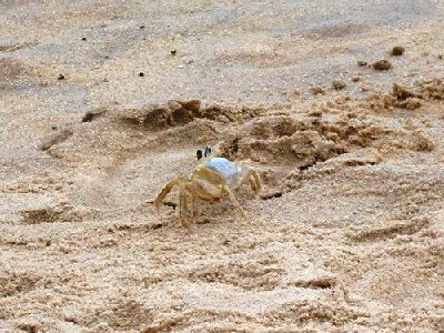 SDC11884.JPG (116.07 KiB) Exibido 1996 vezes SDC11884.JPG