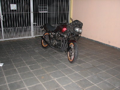 galo 004.jpg
