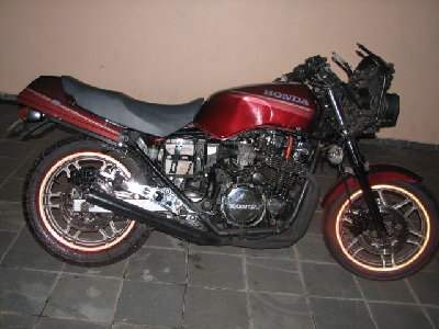 galo 006.jpg
