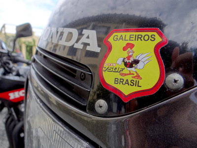 2018 Galo no Camarão - São Francisco do Sul - São Chico 1.JPG