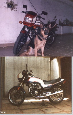 docu0025.jpg