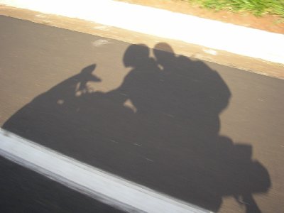 PB290008.JPG