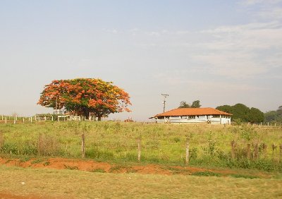 PB290014.JPG